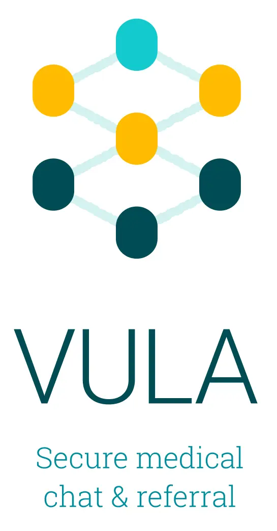 VULA Logo